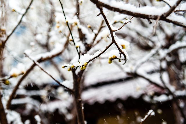 来了一场视